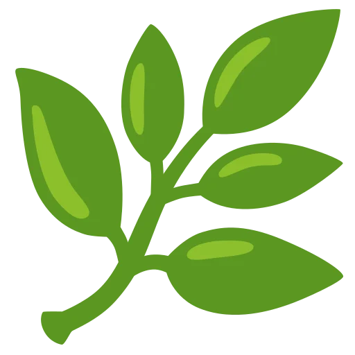 Affordable diet consultation for personalized diet plan